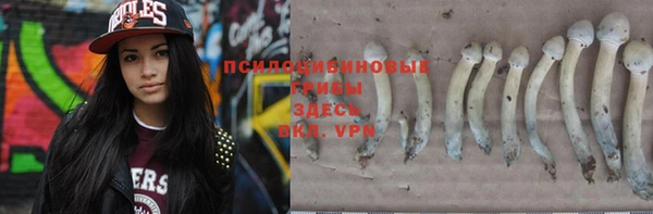 гидропоника Верея