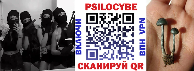 купить наркотик  Улан-Удэ  Псилоцибиновые грибы прущие грибы 