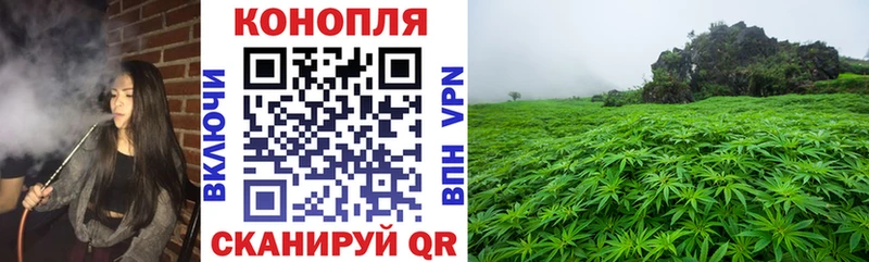 Конопля конопля  купить наркотик  Улан-Удэ 